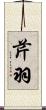 芹羽 Scroll