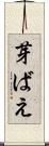 芽ばえ Scroll
