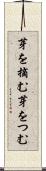芽を摘む Scroll