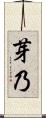 芽乃 Scroll