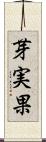 芽実果 Scroll