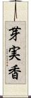 芽実香 Scroll