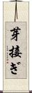 芽接ぎ Scroll
