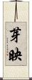 芽映 Scroll