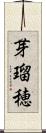 芽瑠穂 Scroll