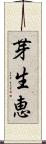 芽生恵 Scroll