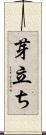 芽立ち Scroll