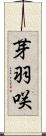 芽羽咲 Scroll