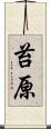 苔原 Scroll