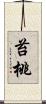 苔桃 Scroll