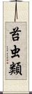 苔虫類 Scroll