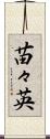 苗々英 Scroll