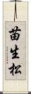 苗生松 Scroll