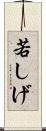 若しげ Scroll