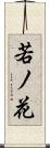 若ノ花 Scroll