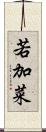 若加菜 Scroll