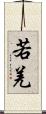 若羌 Scroll