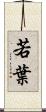 若葉 Scroll
