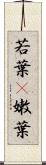 若葉(P) Scroll