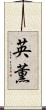 英薫 Scroll