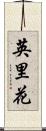 英里花 Scroll