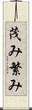 茂み Scroll