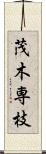 茂木専枝 Scroll