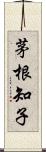 茅根知子 Scroll