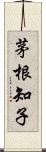 茅根知子 Scroll