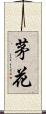茅花 Scroll