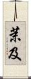 茉及 Scroll