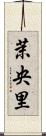 茉央里 Scroll