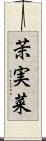 茉実菜 Scroll
