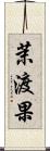 茉渡果 Scroll