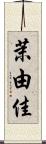 茉由佳 Scroll