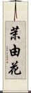 茉由花 Scroll