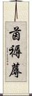 茵 Scroll
