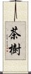 茶樹 Scroll