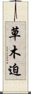 草木迫 Scroll
