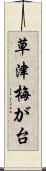 草津梅が台 Scroll