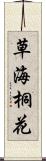 草海桐花 Scroll