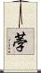 荸 Scroll