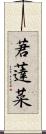 莙薘菜 Scroll