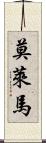 Molema Scroll