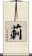 莿 Scroll