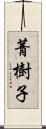 菁樹子 Scroll