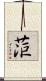 菃 Scroll