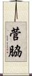 菅脇 Scroll