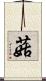 菇 Scroll