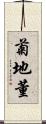 菊地董 Scroll